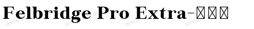 Felbridge Pro Extra字体转换 Felbridge Pro Extra字体转换